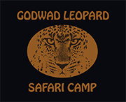 Godwad Leopard Safari Camp, Bera Area, Rajasthan, India