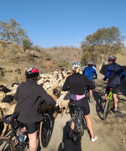 Cycling Tour Packages Rajasthan